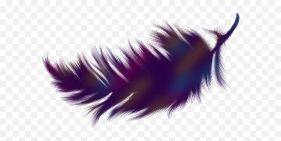 Transparent Falling Feathers Png Image Pngimagespics - Medium Symbol Emoji,Feathers Png