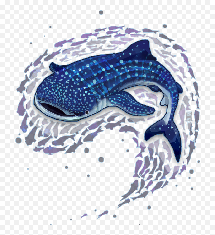 Shark Shirts Pinterest And Tattoos Sharks Gifts - Whale Emoji,Whale Tail Clipart