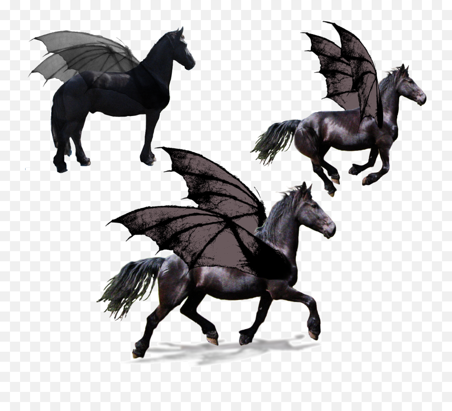 Black Flying Horse Pegasus Full Size Png Download Seekpng Emoji,Winged Horse Logo