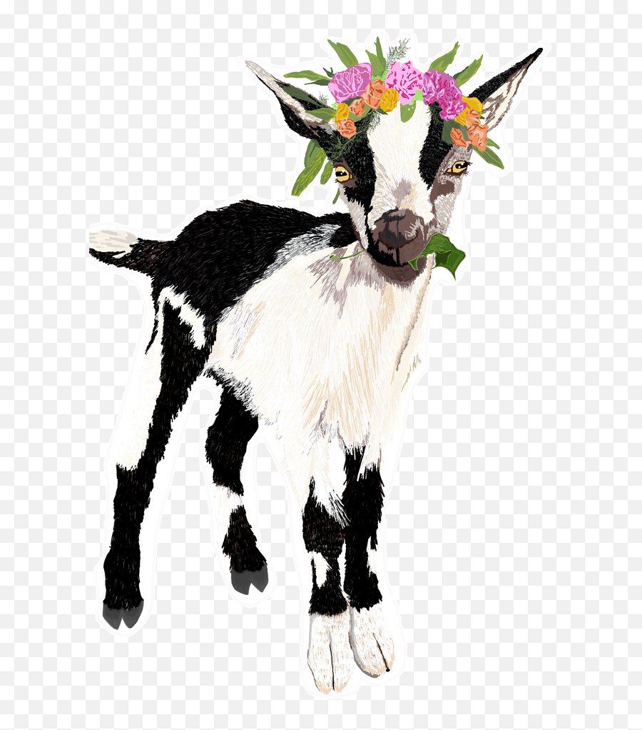 Black And White Goat With Flower Crown Sticker By Emoji,Transparent Black Flower Crown