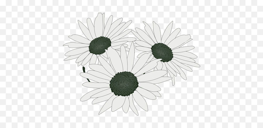 Daisy Flower Png U0026 Svg Transparent Background To Download Emoji,Daisy Flower Png