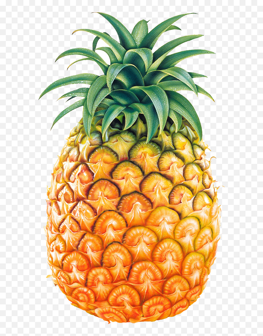 Pineapple Clipart Happy Birthday - Pineapple Clipart Emoji,Pineapple Clipart