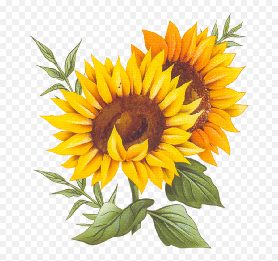 Download Cuisine Montxe9e Sunflower Recipe Two France Vector - Transparent Background Vector Sunflower Png Emoji,Recipe Clipart