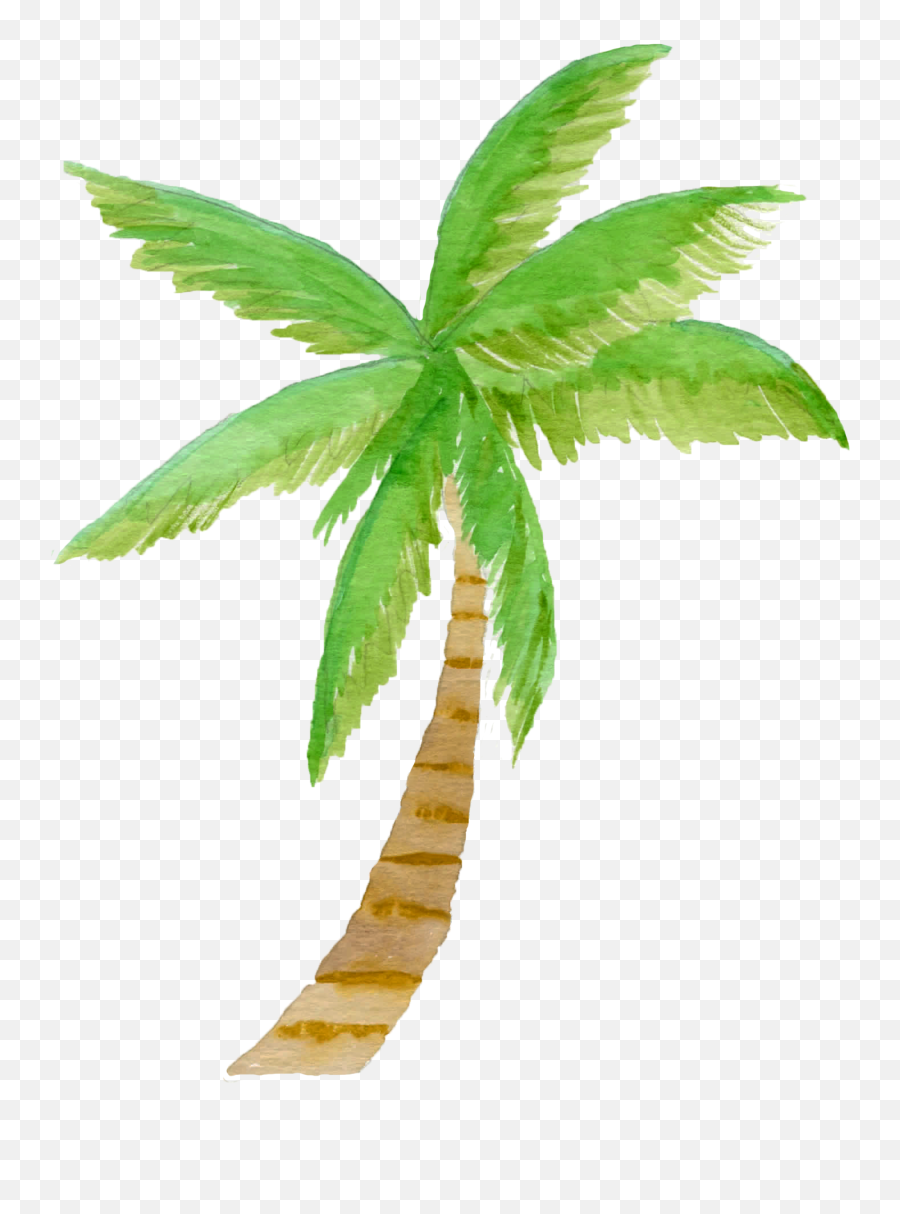 Watercolor Palm Tree Clipart Palm Tree Palm Tree Clipart - Palm Tree Clip Art Watercolor Emoji,Palm Tree Clipart