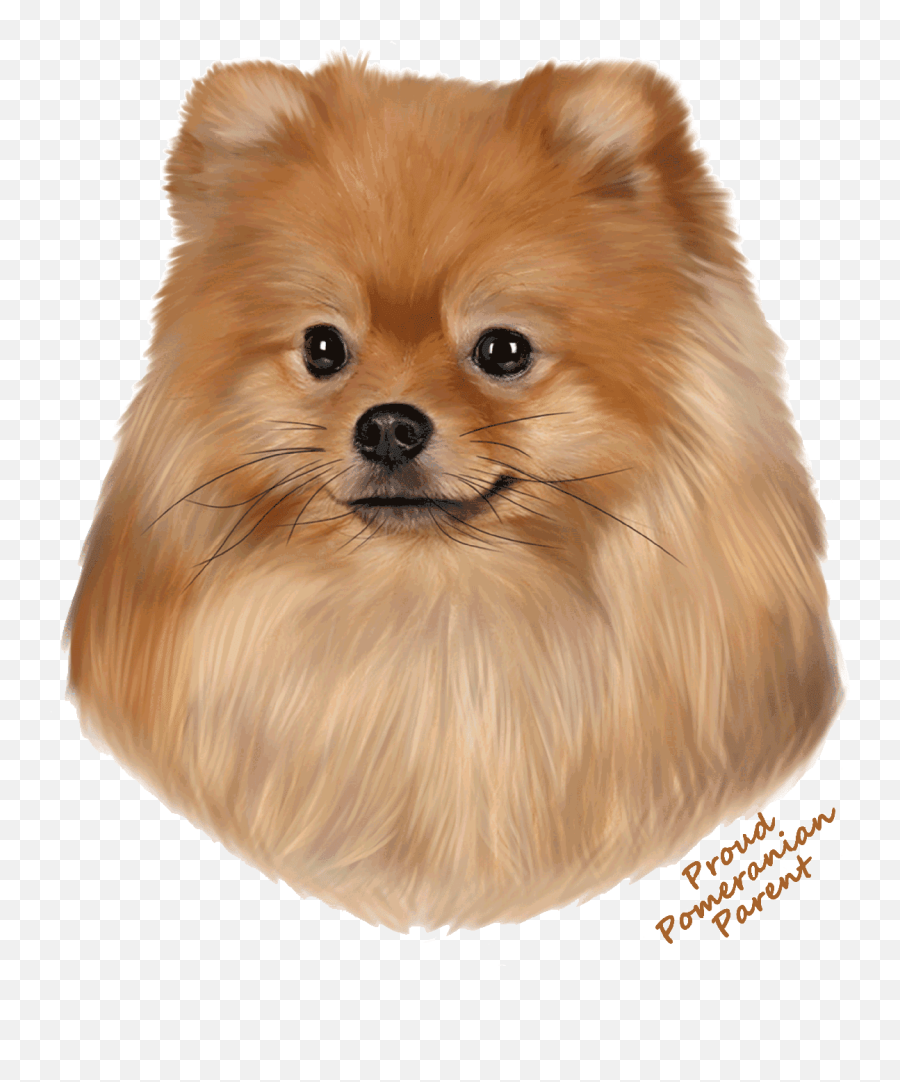 Tshirt Emoji,Pomeranian Png