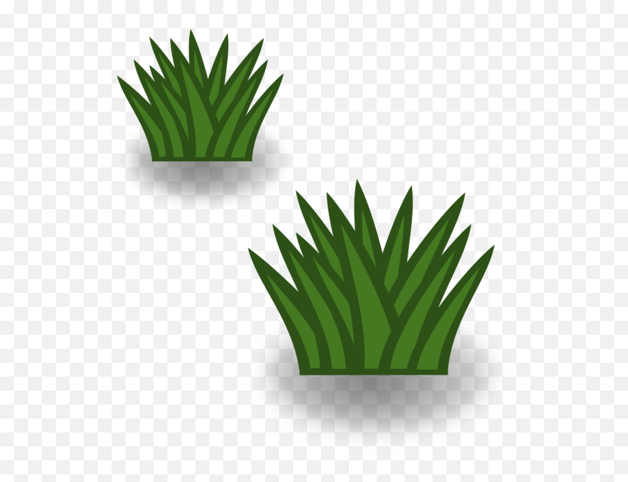 Plantleafaloe Png Clipart - Royalty Free Svg Png Grassland Symbol Emoji,Plants Clipart
