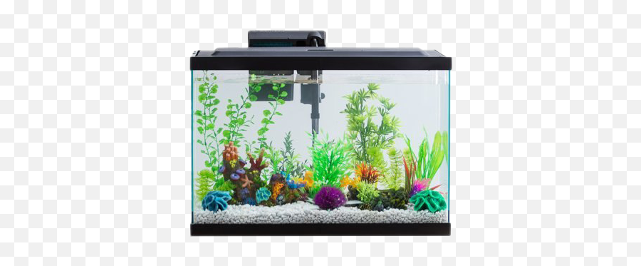 Aquarium Fish Tank Png Photo Png All - Walmart Aquarium Emoji,Tank Png