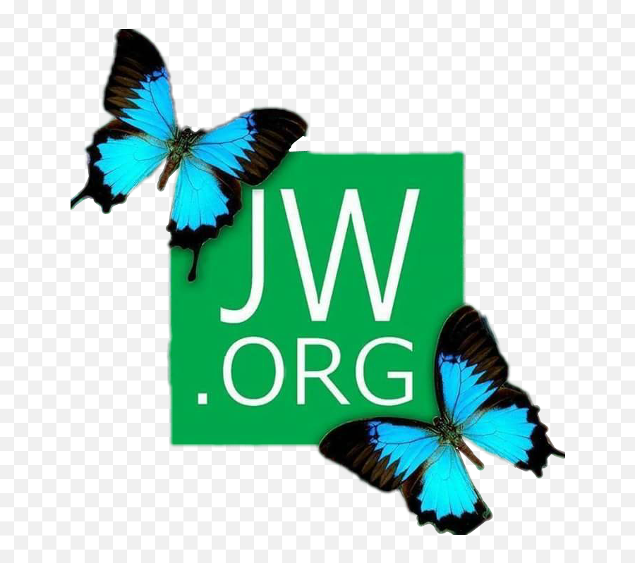 Porg Png - Butterfly Jw Org Logo Emoji,Jw.org Logo