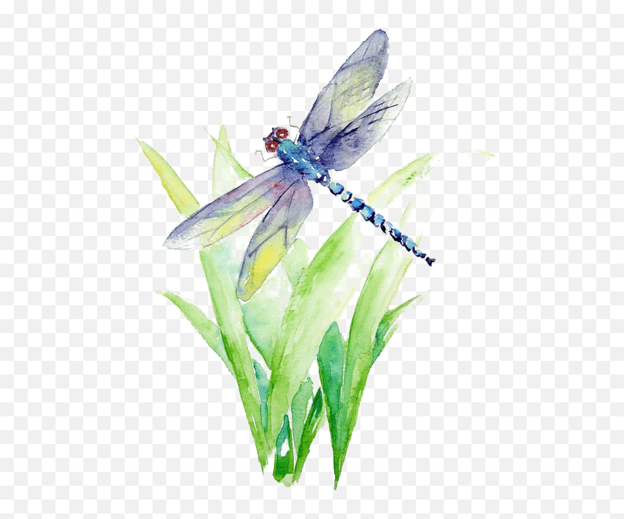 Blue And Purple Dragonfly Illustration Watercolor Painting - Watercolor Dragonfly Emoji,Dragonfly Png