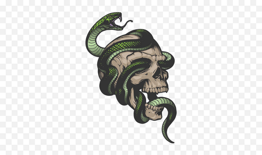 Snake Png Clipart - Green Snake Round Snake Wrapped Around Skull And Snake Png Emoji,Snake Png