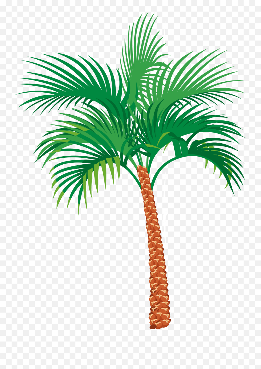 Download Palm Tree Clipart Pdf - Some Beach Somewhere Shirt Date Palm Trees Vector Png Emoji,Palm Tree Clipart