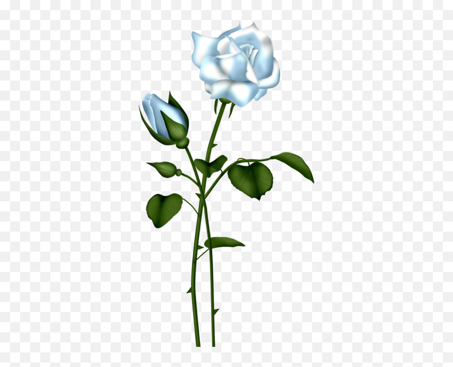 Floral Gold Round Border Transparent - Light Blue Blue Rose Transparent Emoji,Flower Clipart Transparent