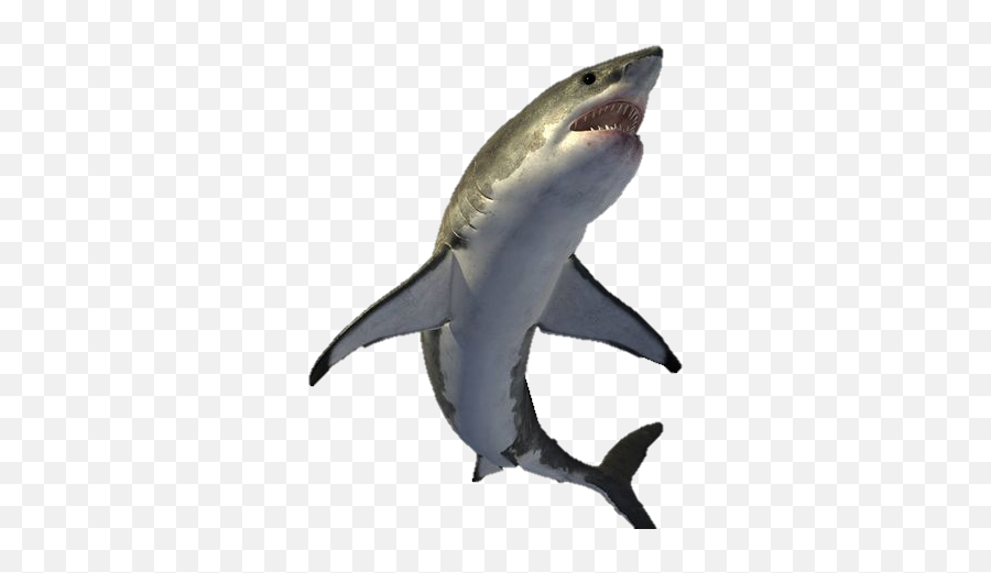 Shark Png Emoji,Great White Shark Png
