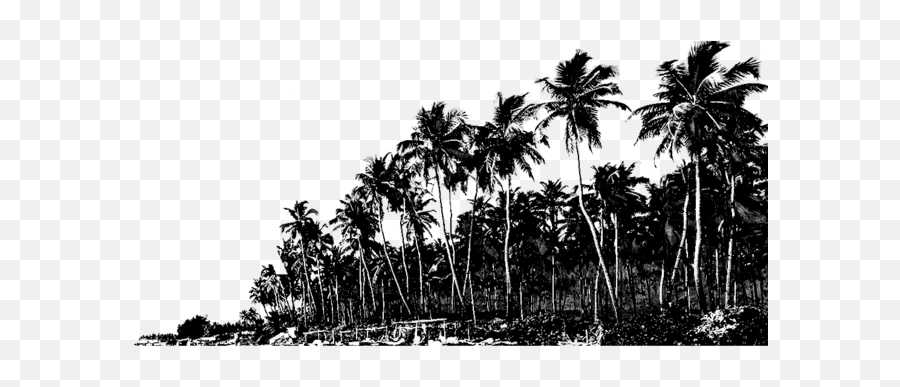 Beach Png Black And White Emoji,Palm Tree Black And White Clipart