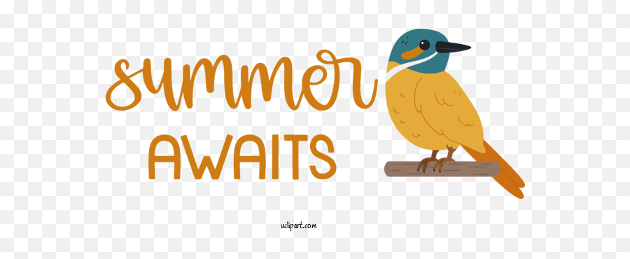 Nature Birds Duck Beak For Summer - Summer Clipart Nature Emoji,Duck Transparent Background