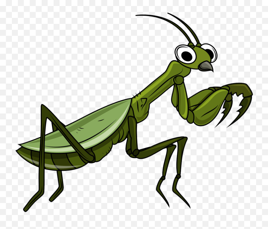 Download Svg Library Download - Imagen De Saltamonte Animado Emoji,Grasshopper Clipart