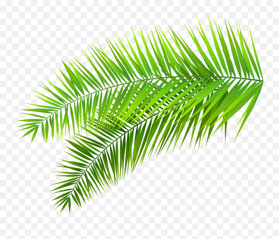 Clipart Leaf Clear Background Clipart Leaf Clear Background - Vector Palm Leaves Png Emoji,Leaves Png