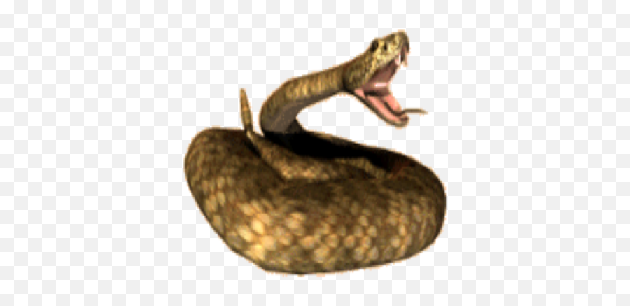 Download Free Png Rattlesnake Clipart - Dlpngcom Serpent Emoji,Rattlesnake Clipart