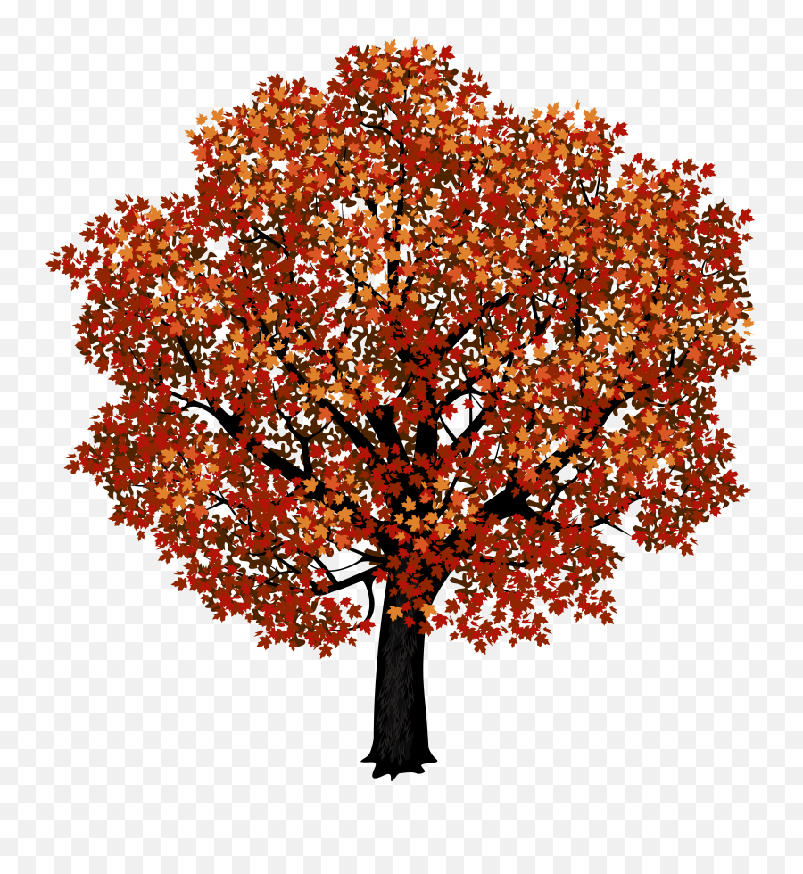 Tree Png Images Transparent Background - Transparent Background Big Tree Png Emoji,Trees Png