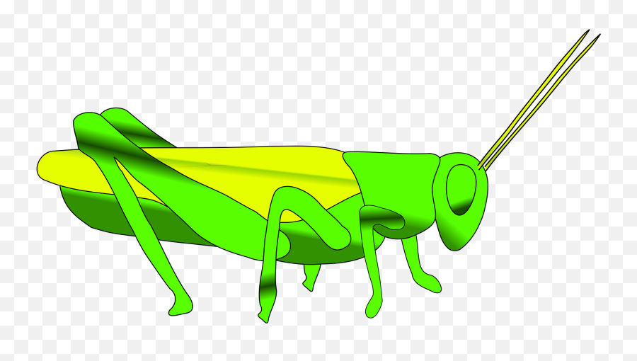 Grasshopper Clipart - Clipart Grasshopper Emoji,Grasshopper Png