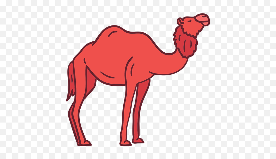 Camel Animal Flat Transparent Png U0026 Svg Vector Emoji,Camel Transparent Background