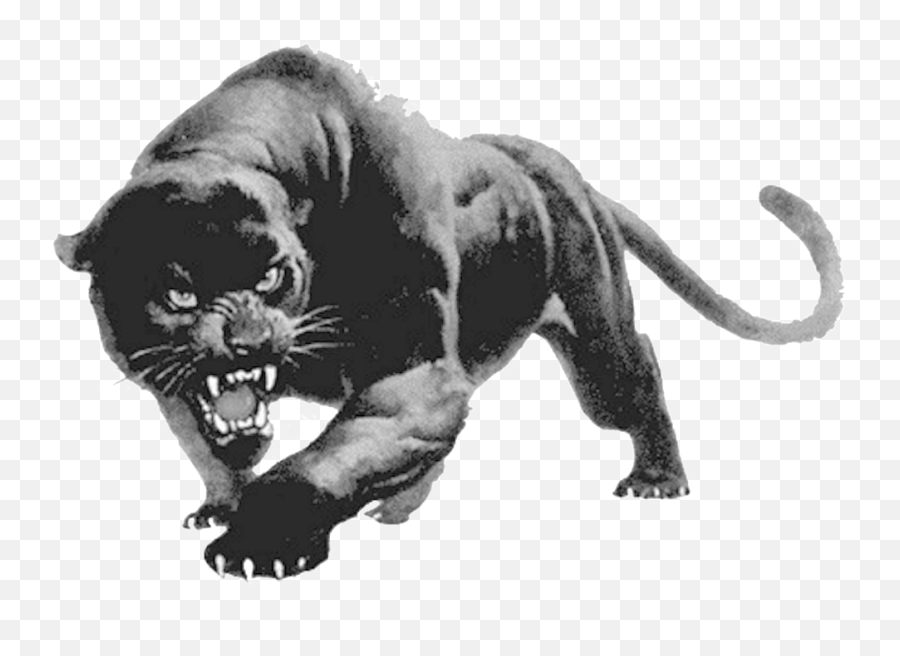 Panther Png Transparent Images - Devon Meadows Football Club Black Panther Animal Aggressive Emoji,Panther Png