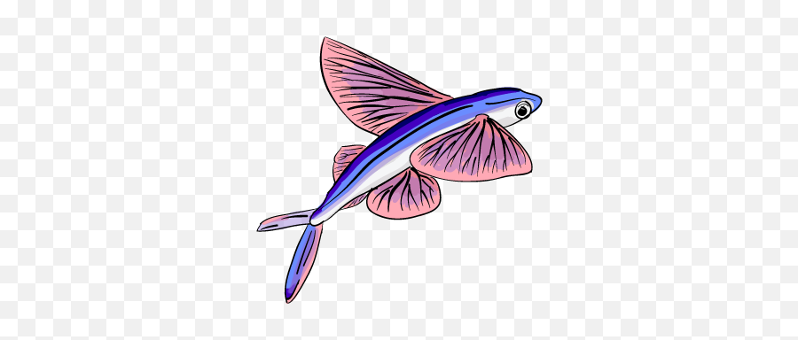 Flying Fish - Flying Fish Cartoon Png Emoji,Fish Png