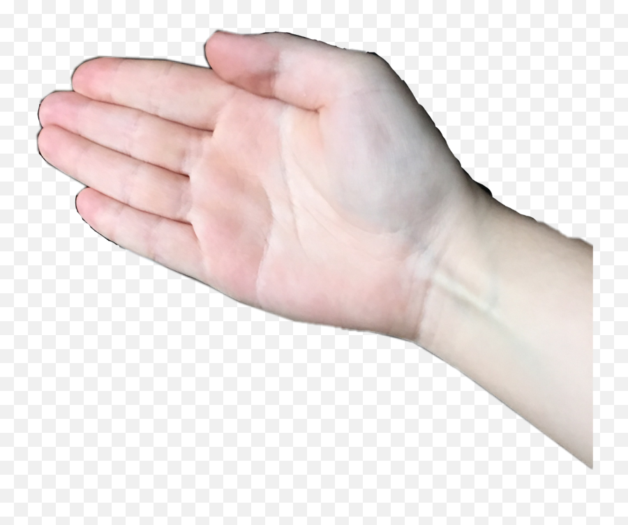 Boi Hand Transparent Background Hd Png - Transparent Boi Hand Emoji,Hand Transparent Background
