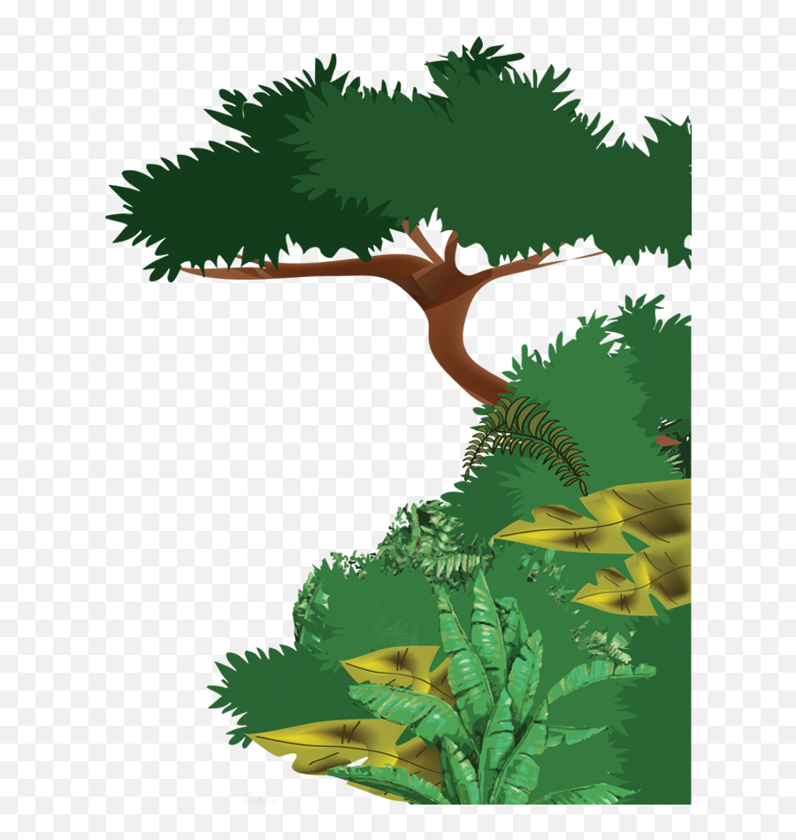Rainforest Clipart Big Plant - Tropical Rainforest Tree Drawing Emoji,Rainforest Clipart