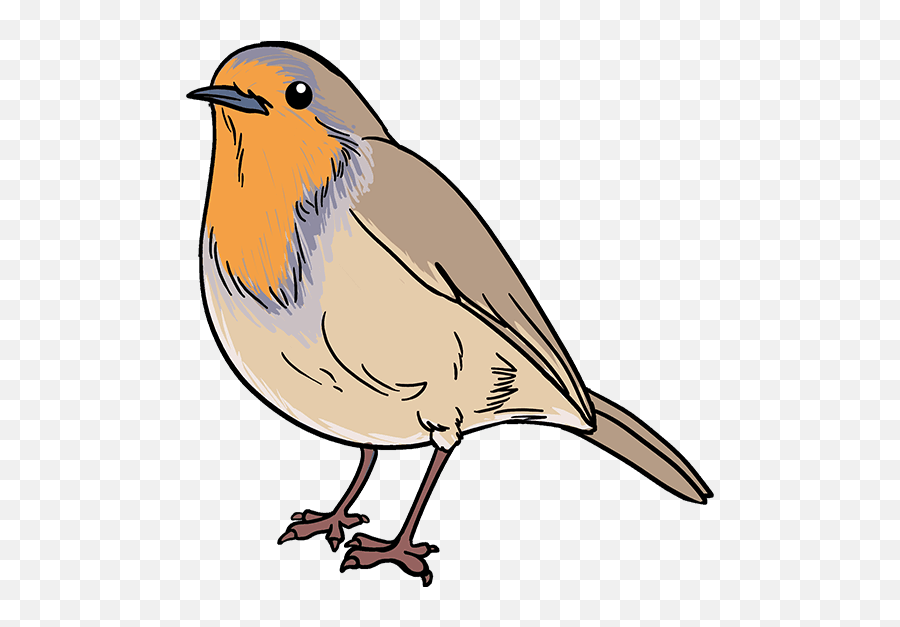 How To Draw Robin - Draw A Robin Emoji,Robin Clipart