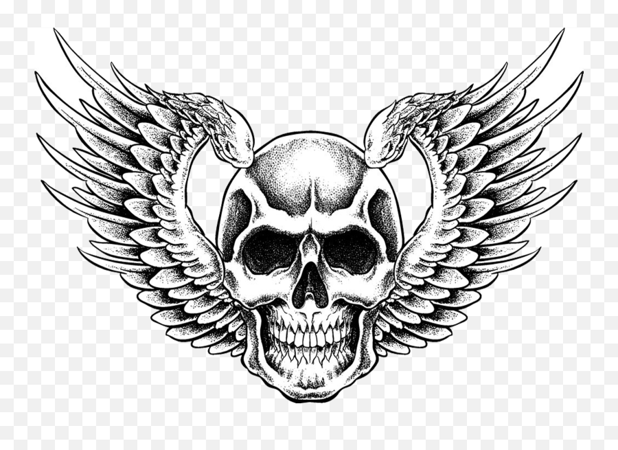 Download Symbolism Skull Human Drawing Free Hd Image Hq Png - Skull With Wing Clipart Emoji,Skeletal Clipart