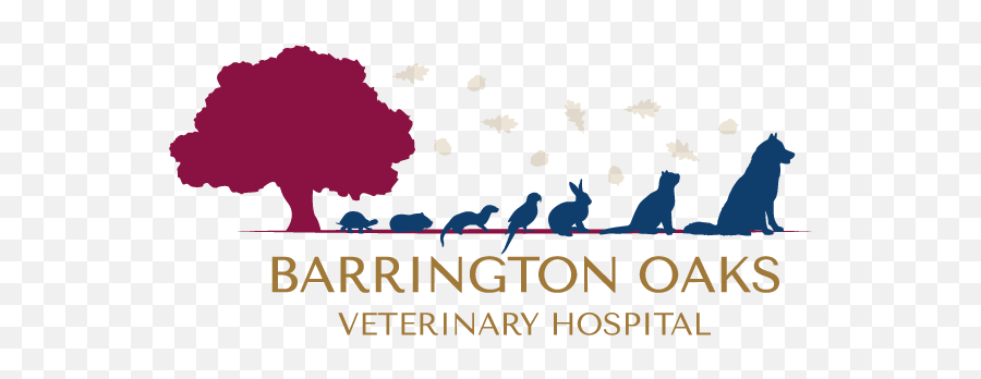 Barrington Oaks Veterinary Hospital - Language Emoji,Microchip Logo