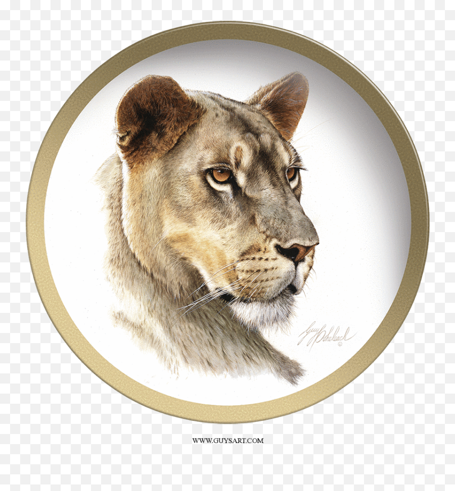 Lioness Png - Female Lion Face Side Emoji,Lioness Png