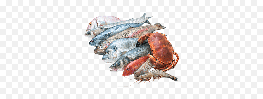 Crab Transparent Png - Stickpng Fresh Fish Meat Png Emoji,Crab Transparent Background