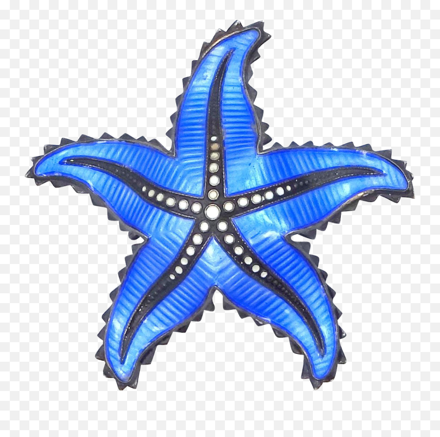Starfish Brooch Vintage Jewelry Enamel - Borracha Do Pressor Seccionadora Emoji,Blue Starfish Logo