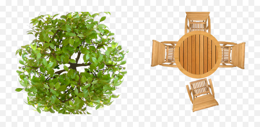 Download Pics Photos Tree Plan View Photoshop Texture Png - Garden Table Top View Png Emoji,Tree Plan Png
