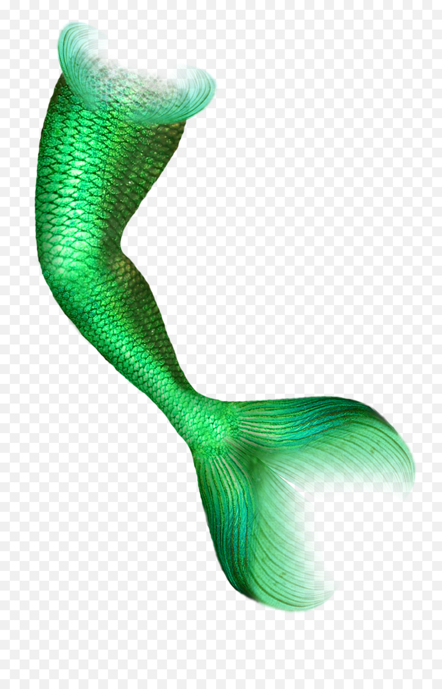 Mermaid Tail - Mermaid Png Download 12001600 Free Green Mermaid Tail Png Emoji,Mermaid Tail Clipart