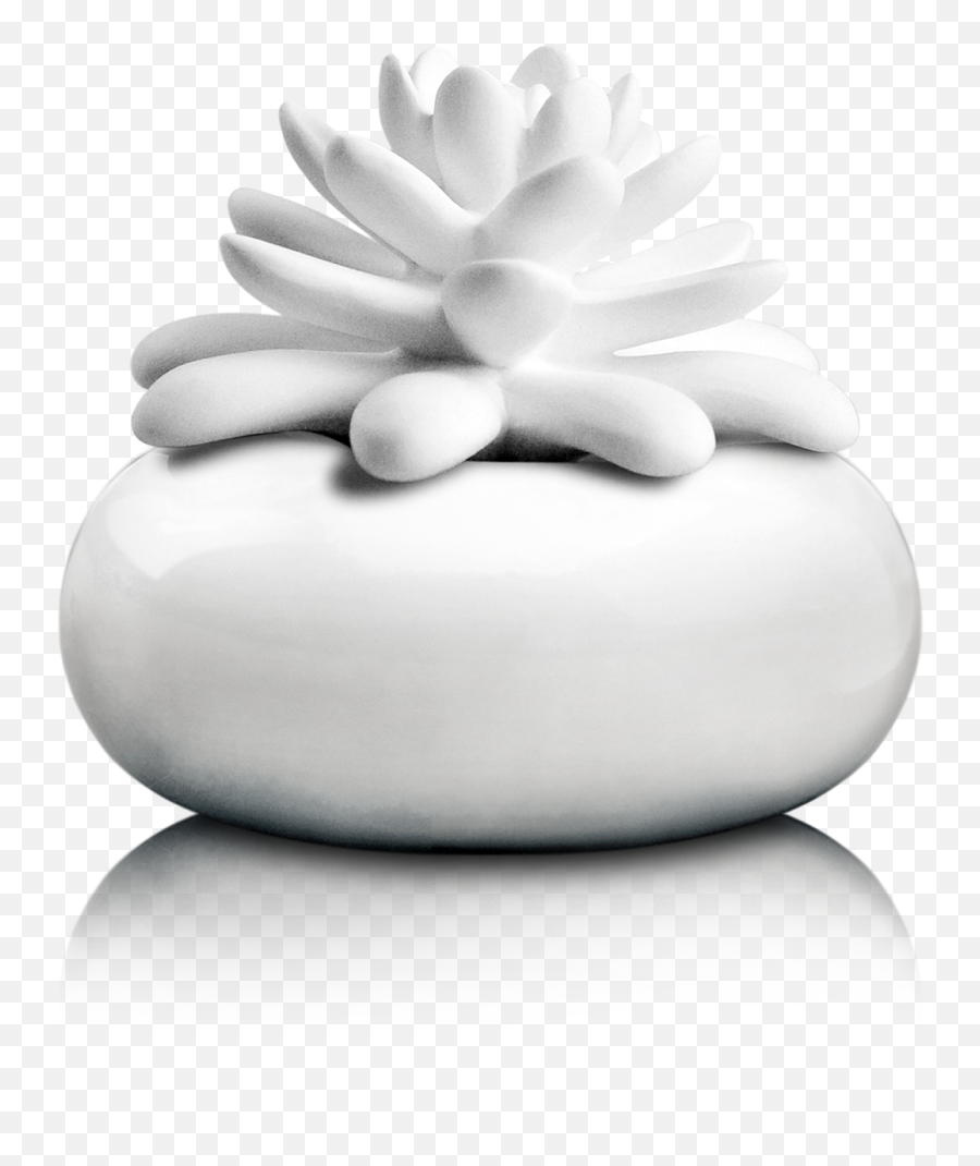 White Lotus Diffuser With Caribbean Sea Fragrance Emoji,White Lotus Png