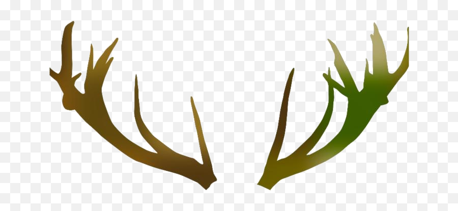 Transparent Antler Deer Horn Vector Png Clipart Pngimages - Language Emoji,Antlers Clipart