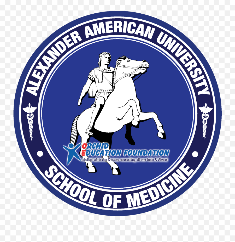 Download Hd American University Logo Png Transparent Png - Horse Tack Emoji,American University Logo