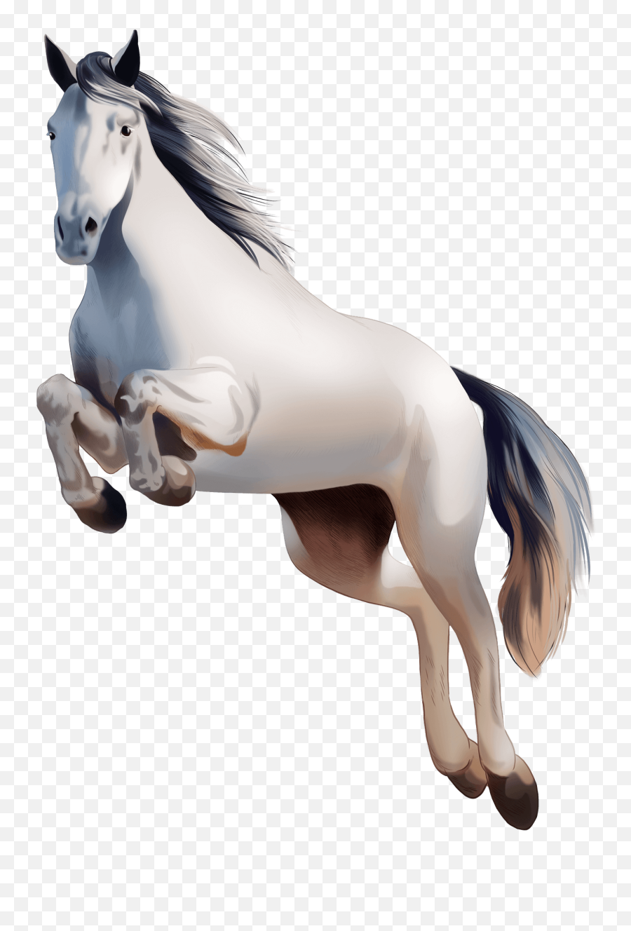 Irish Sport Horse Clipart Free Download Transparent Png - Fictional Character Emoji,Irish Clipart