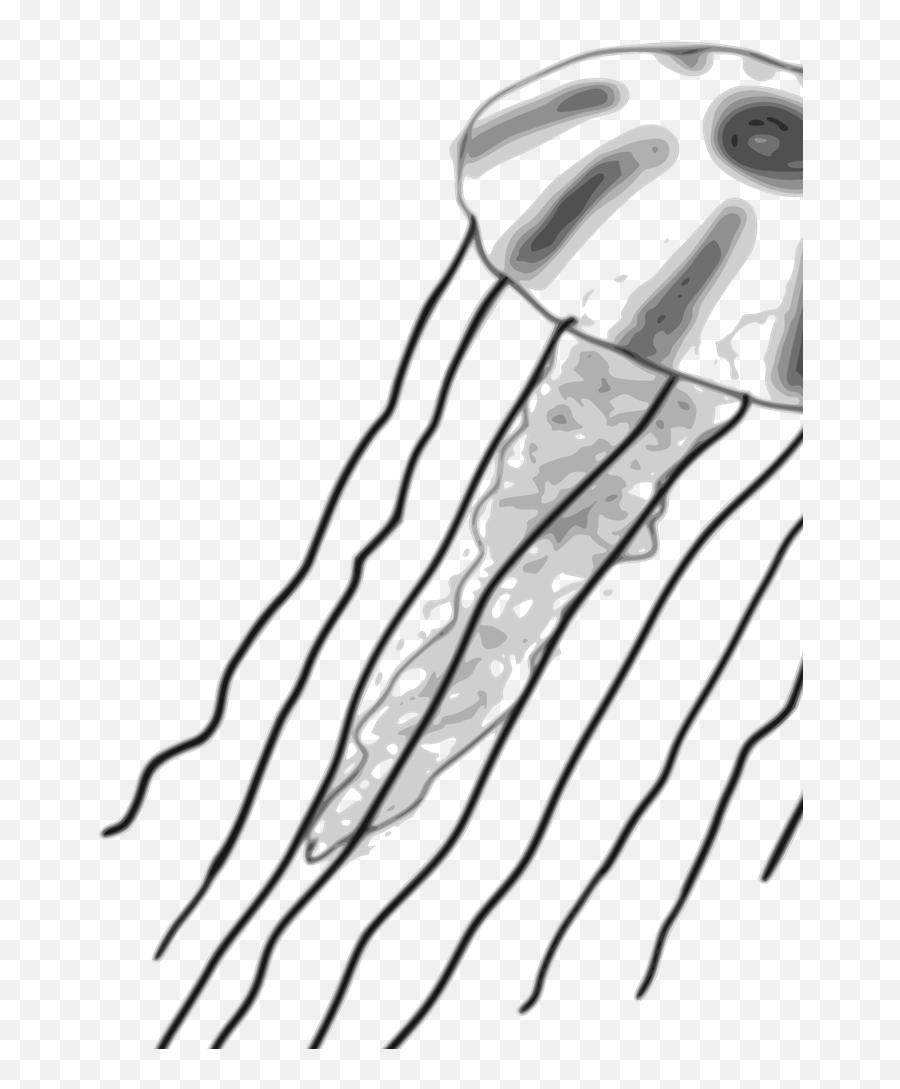 Jellyfish Svg Vector Jellyfish Clip Art - Svg Clipart Jellyfish Emoji,Jellyfish Clipart