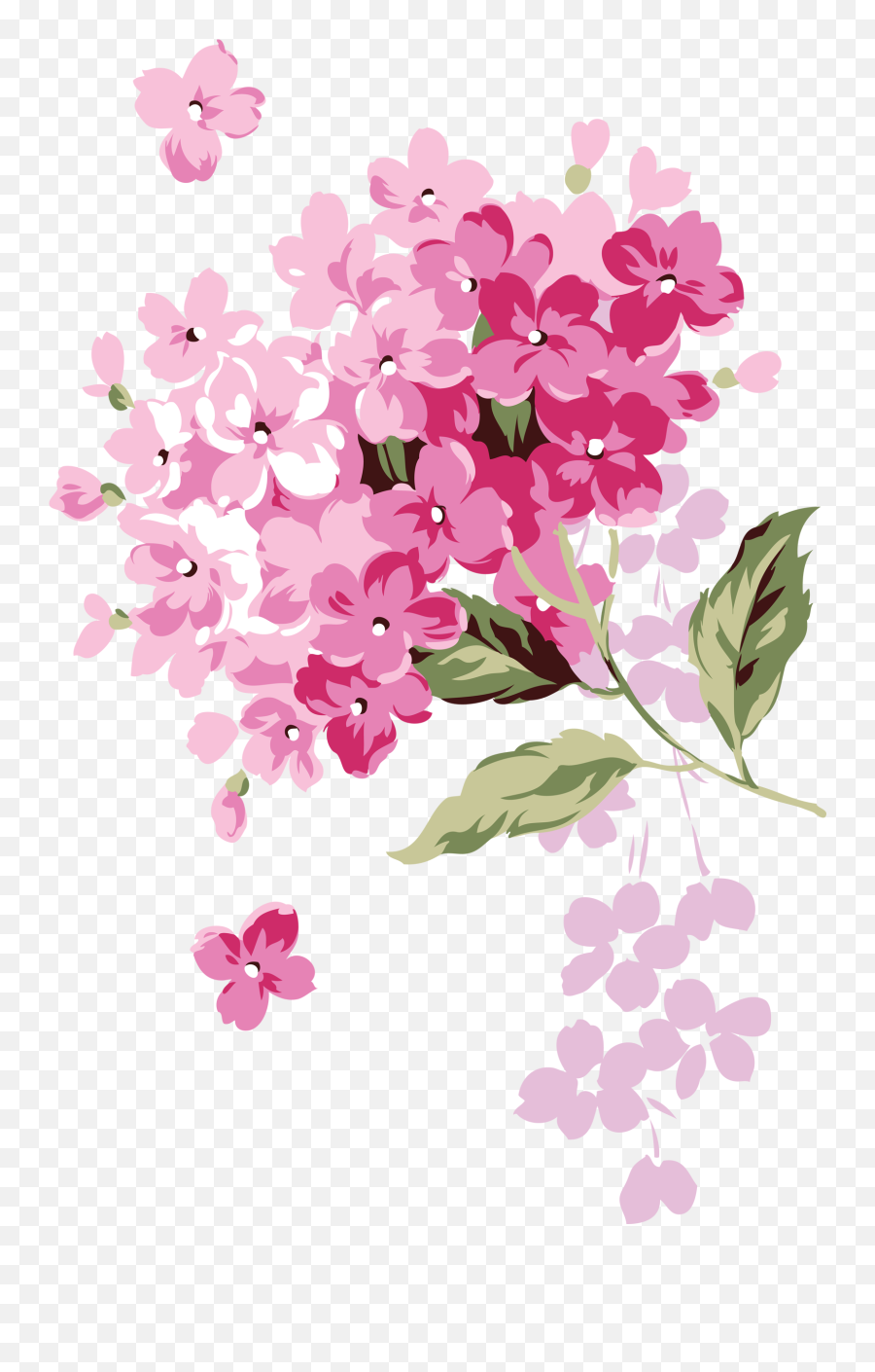 Download Flôres Jardim E Etc - Çiçekler Png Emoji,Hydrangea Png