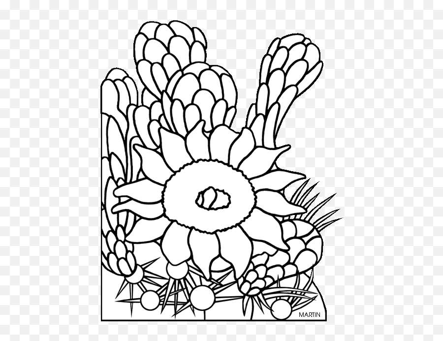 State Flower - Flower Of A Saguaro Cactus Drawing Emoji,Cactus Flower Clipart