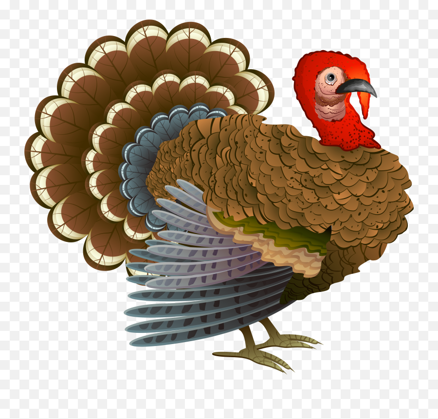 Turkey Thanksgiving Cornucopia Clip Art - Turkey Cliparts Santander Park Emoji,Cornucopia Clipart