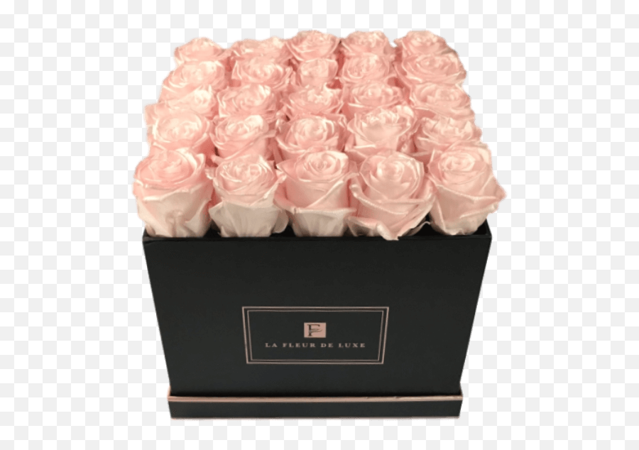 Medium Square Box - Pearl Touch Roses Emoji,Square Box Png