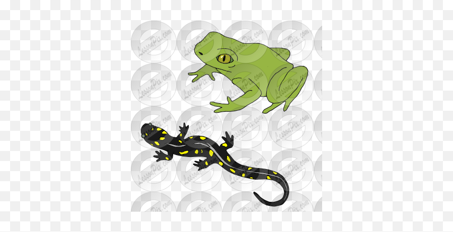 Amphibian Picture For Classroom Therapy Use - Great Emoji,Salamander Clipart