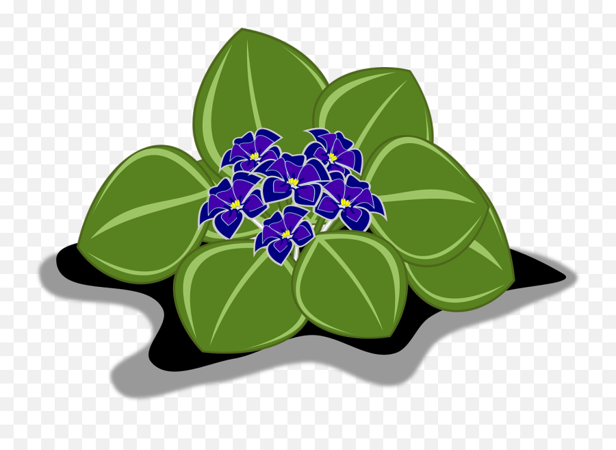 African Violet Clip Art Flor Flora Public Domain Image - Freeimg African Violets Emoji,Nature Clipart