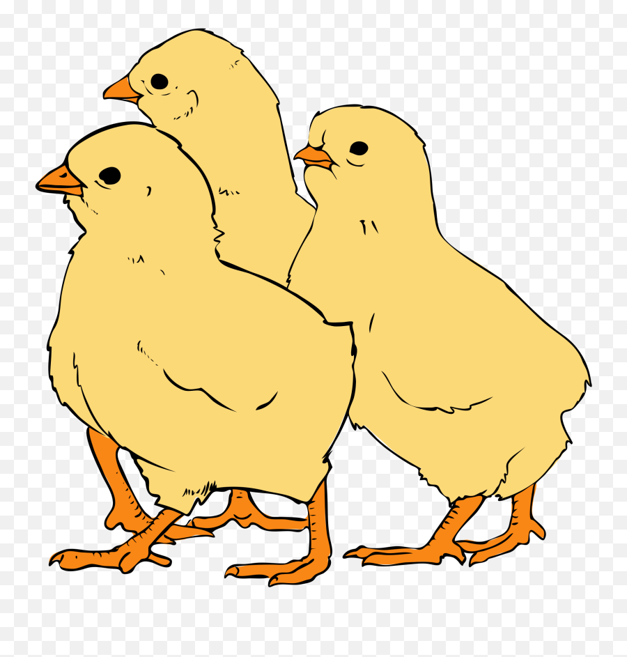 Hen Clipart Chick Clipart Hen Chick - Clipart Picture Of Chicks Emoji,Chick Clipart