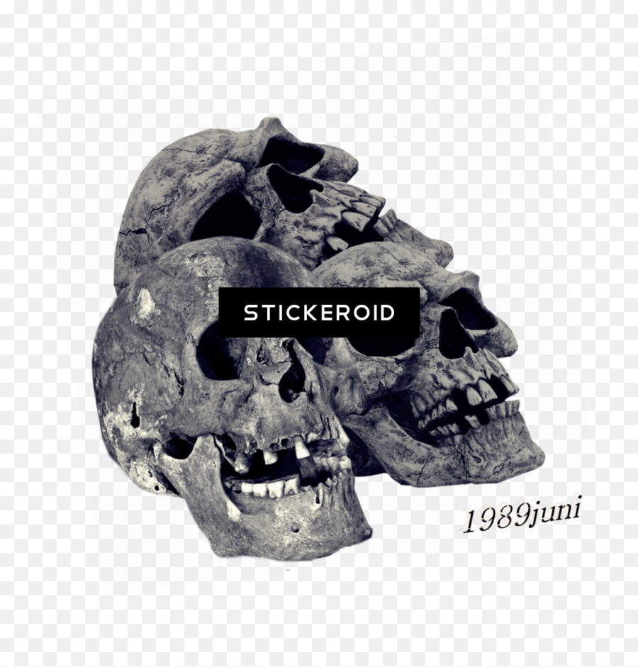 Skulls Fantasy Skull - Portable Network Graphics Emoji,Skulls Png